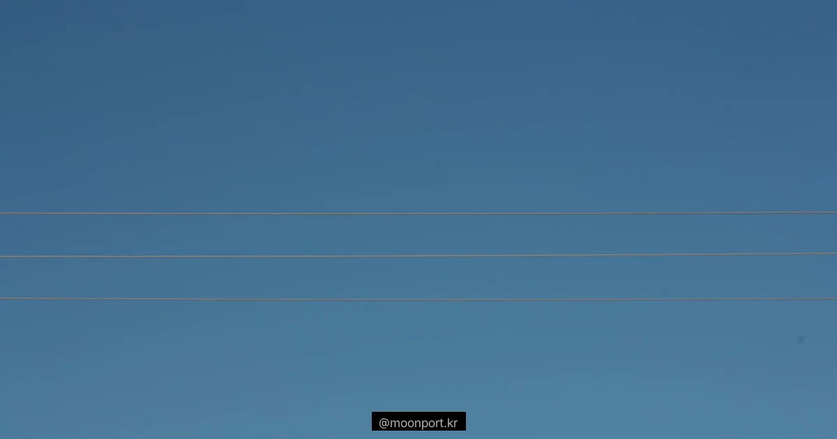 비트코인 2.83% 상승, 유동성 확대 속 기관 매수 가속 관련 이미지